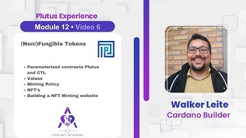 Module 12 episode 6 Plutus experience