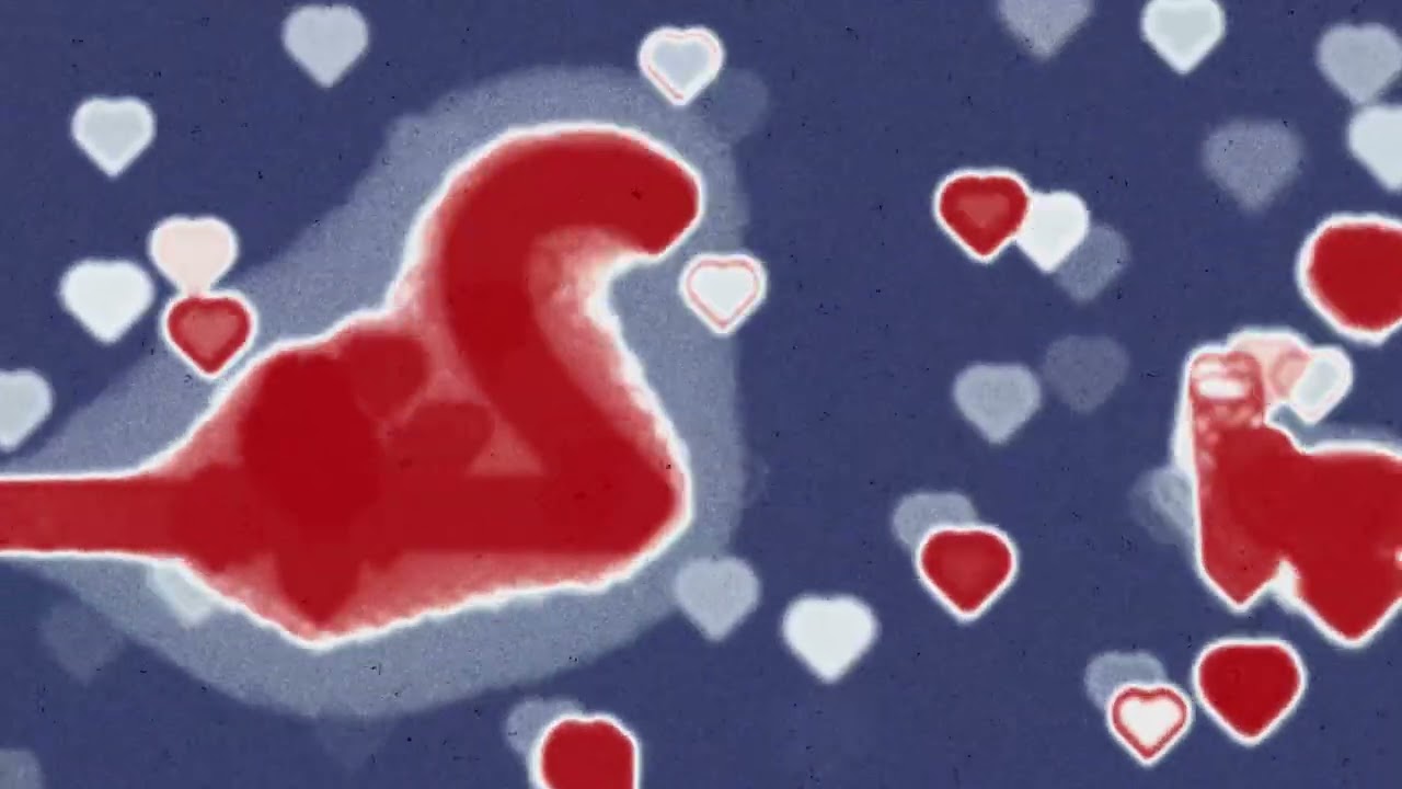 4K EKG Heart of Hearts Bandhnu Netting Texture Red White Blue Copyright Free Stock Footage Download