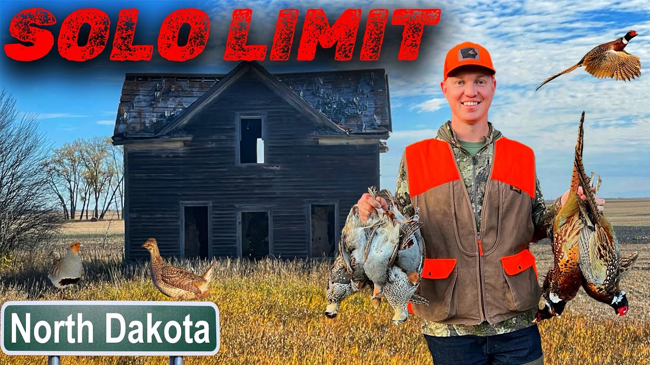 LIMITED OUT WHILE UPLAND BIRD HUNTING WITH 20 GAUGE (NO DOG | Roosters, Sharptails, & Huns)