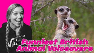 AMERICAN REACTS TO FUNNY BRITISH ANIMAL VOICEOVERS | AMANDA RAE