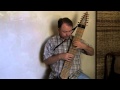 Brain damage  pink floyd on chapman stick