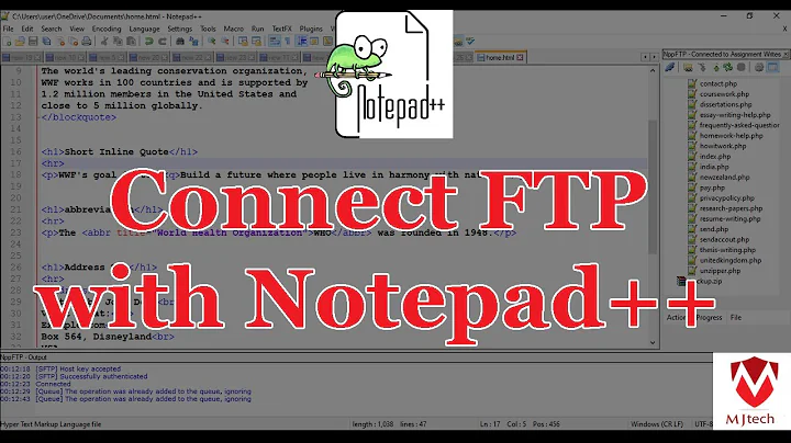 How to Connect FTP with Notepad++