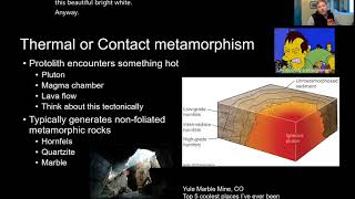 Day 38 Metamorphic environments
