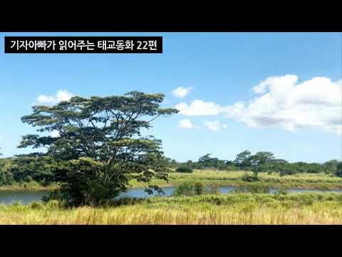 기자아빠가 읽어주는 태교동화 22편