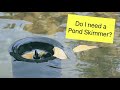 Pond skimmer what why how oase aquaskim  aqua max eco premium pump