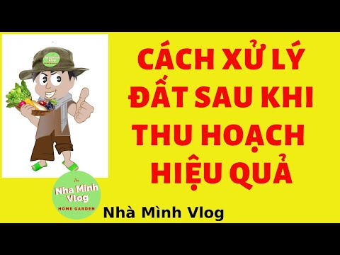Cách xử lý đất sau khi thu hoạch để sử dụng lại / How to treat land after harvesting @Nha Minh Vlog