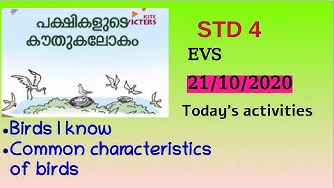 VICTERS channel std 4 EVS activities 21/10/2020