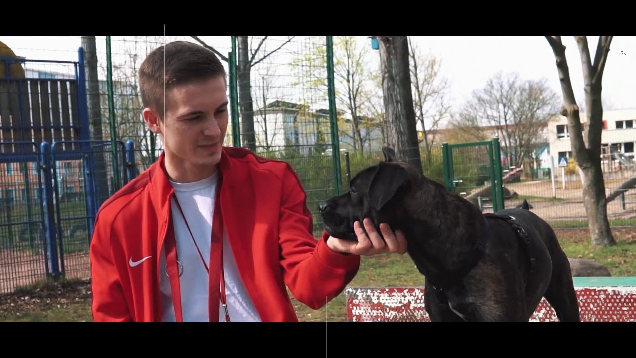 TXMMY - KLEINER BRUDER (OFFICAL VIDEO) (PROD. THATKIDGORAN)