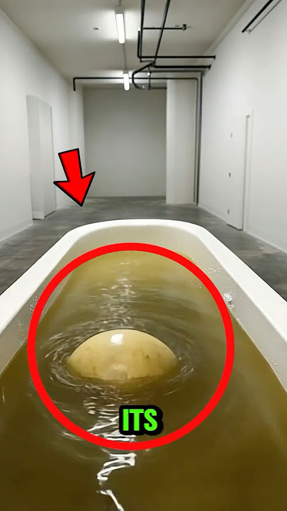 This Thing ESCAPED Area 51… Watch Closely 😳🫣😱