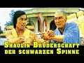 Wu Tang Collection - Shaolin Bruderschaft der schwarzen Spinne