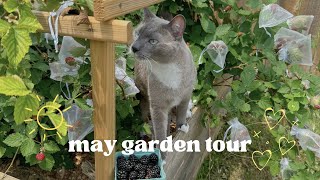 May Garden Tour ☀️✨