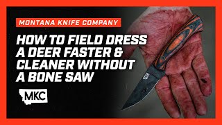 How to Field Dress a Deer Faster & Cleaner Without a Bone Saw