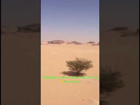 59 مسحوب رااااائع ياهلي لاتحرموني هواء بالي لاتكونون السبب بيني وبينه 