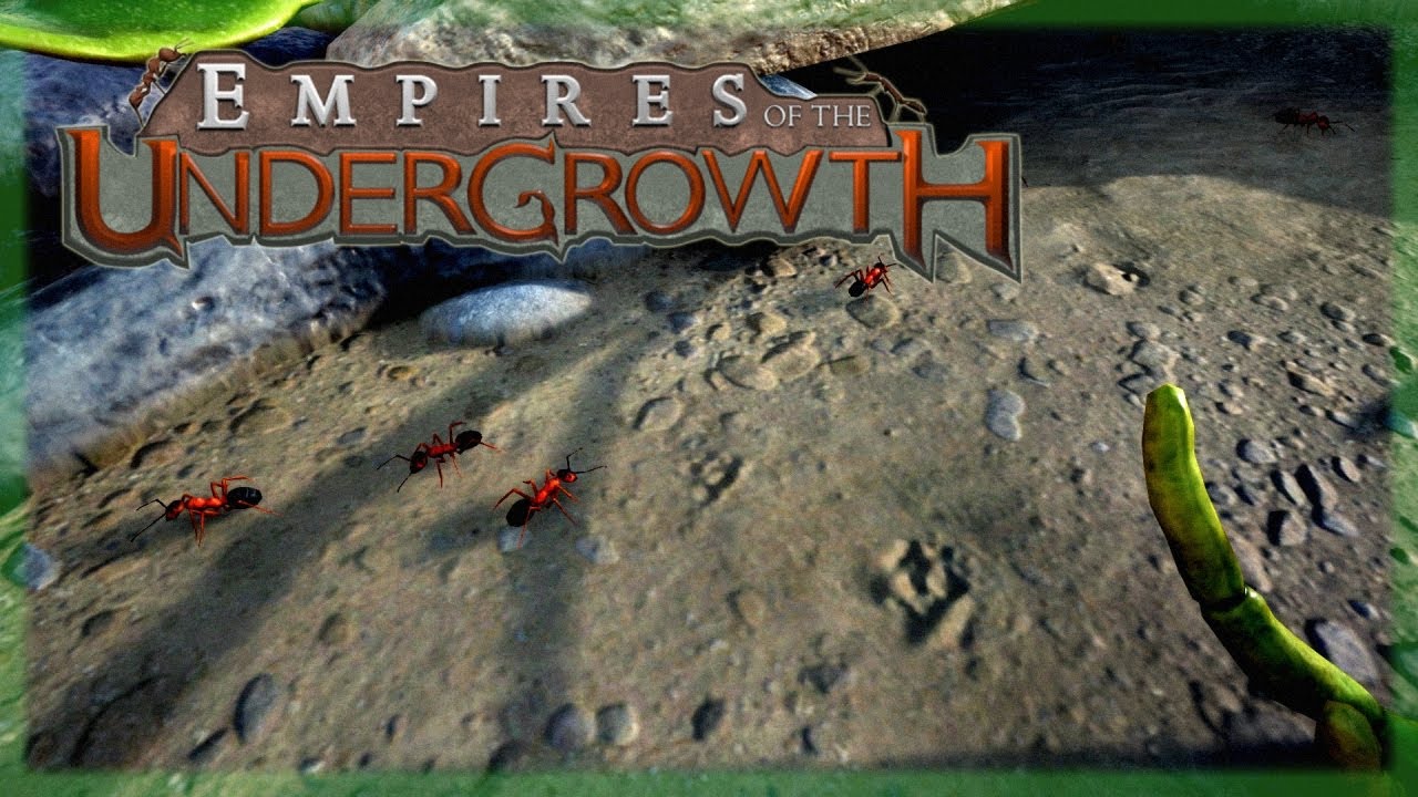 ПРИЛИВ В РЕЖИМЕ ИСПЫТАНИЯ Empires of the Undergrowth Империи подлеска ...