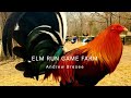 ELM RUN GAME FARM || the best farm owned by andrew bresee