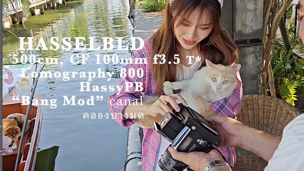 とも　HASSELBLAD Planar 100mm F3.5 先白 とも HASSELBLAD Planar 100mm F3.5 先白 Hasselblad 100mm f3.5