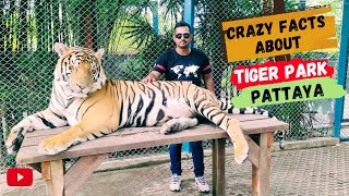 Pattaya Tiger Park Tour guide | Ticket price & details | Thailand must visit places | Hindi vlog