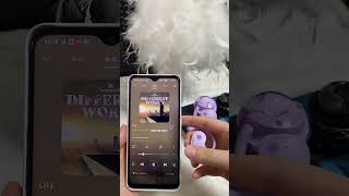 Limited Time Offer Get Translation Earbuds For Just 9.9