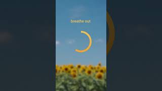 Sunflower Fields is coming - #newsinglecomingsoon #music #newmusic @ournameismagicVEVO