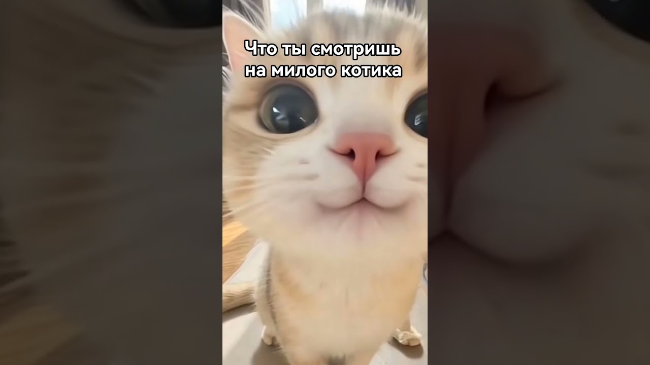 оптическая иллюзия!!! 