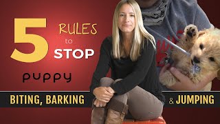 How to Stop Puppy Biting, Barking and Jumping by Alyssa Rose 37,415 views 2 years ago 11 minutes, 36 seconds