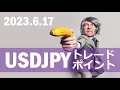 【FX:ドル円 2023.6.17】トレードポイント解説