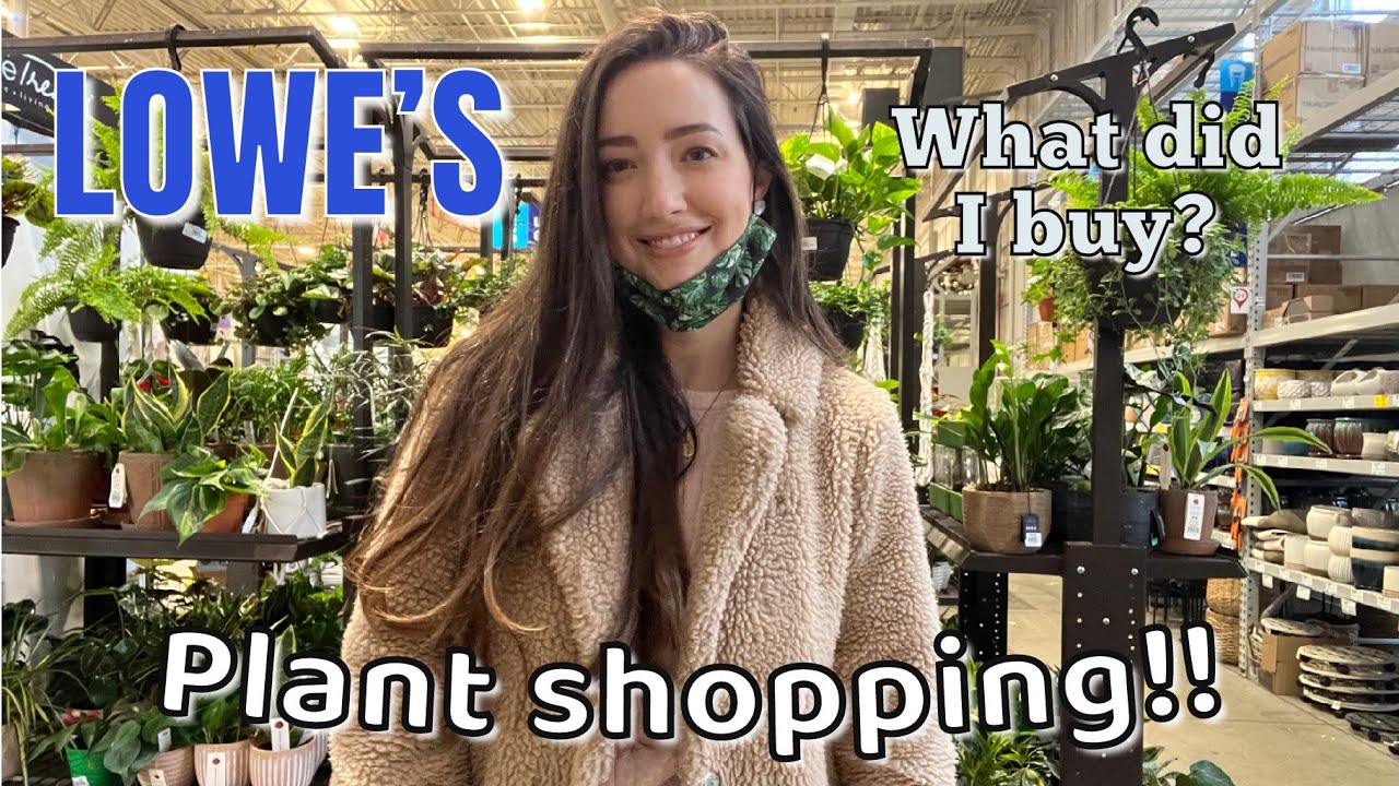 PLANT shopping BIG BOX stores | LOWES shop with me | What did I buy? | December 2021
