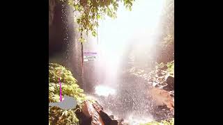 Famous CS 490 VR Project 3 Demo Wealth