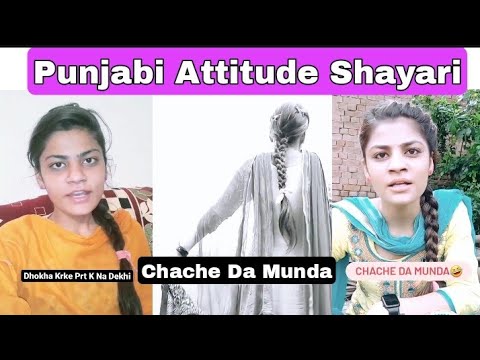 Punjabi Attitude Shayari | Reply To Haters | Punjabi shayari Whatsapp Status ?✔ Nikita PB 31