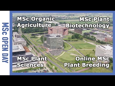 MSc Plant Sciences, Plant Biotechnology, Organic Agriculture, Online MSc Plant Breeding | WURtube