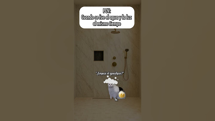Cuando se fue el agua y la luz al mismo tiempo 🐱 #catmemes #gatitos #funnyvideo
