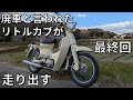 貸したら廃車になって帰ってきたリトルカブのレストア3話　廃車を勧められたが修理して乗れるようになる件