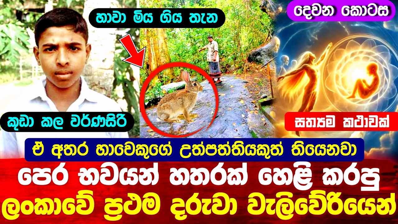 පෙර භවයන් 04 හෙළි කරපු ලංකාවේ ප්‍රථම දරුවා වැලිවේරිය වර්ණසිරි 😮 #buddha #srilanka #rebirth 