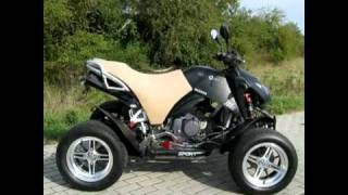 Bashan BS 300ccm Quad ATV by MS Funsport