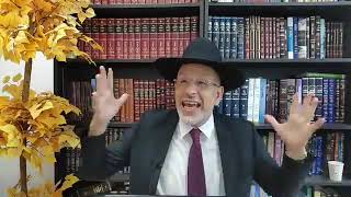 De Linstinct Au Libre Arbitre - Rav Touitou Parashat Béréchit