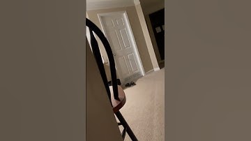 Intrusive intruders do home invasion & Shot with iPhone #intruder #burglaralarm #burglars #