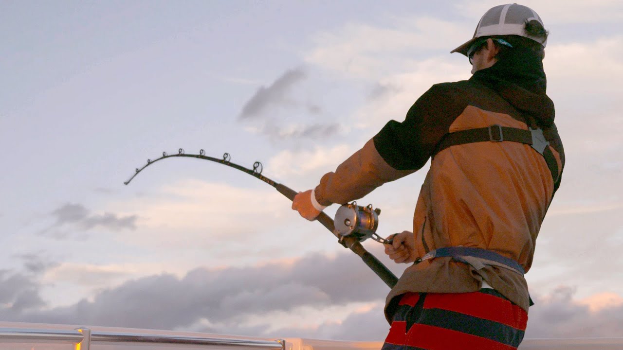 400lb Porbeagle Shark Jigged Up on Spinning Rod! 