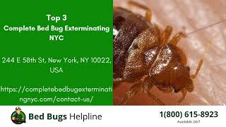 Top 3 Bed Bug Removal in Buda