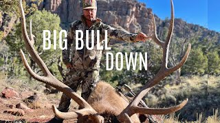 Epic Bow Hunt: Taking Down a Massive 6Point Bull on Wyoming Public Land!