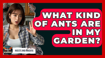 What Kind Of Ants Are In My Garden? - Insects and Invaders