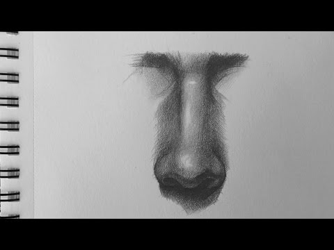 Рисуем нос / How to Draw a Nose / Художник Tetti Do - YouTube