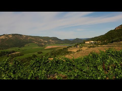 Video: Das Napa Valley of Beer: Boulders beste Brauereien