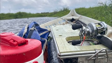 Săn cá lóc đen rừng U Minh Thượng tập 47 | láng 13 khô nước không còn là nơi cần thủ truy tìm Hugo