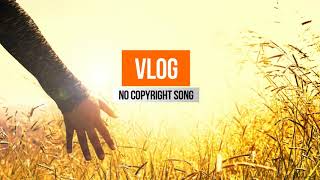 Altero - Feeling (VLOG No Copyright Song)