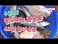 수산시장 장사하는 일상과 4시간 연속 활어 손질 풀영상 [수아아빠TV]