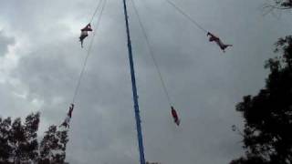 Mexico City - Totonac People Traditional Pole Performance