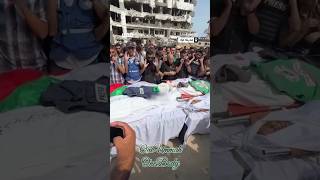 Download Lagu Inna Lillahi Wa Inna Ilayhi Raji'Un MP3 Download Lagu Inna Lillahi Wa Inna Ilayhi Raji'Un MP3