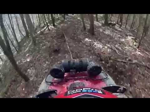 gopro:-tree-on-the-trail