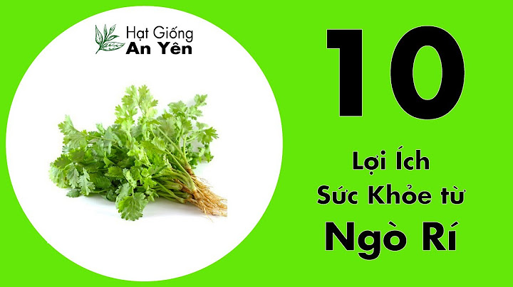 Rễ ngò rí có tác dụng gì