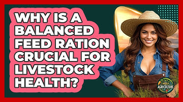Why Is A Balanced Feed Ration Crucial For Livestock Health? - The World of Agriculture
